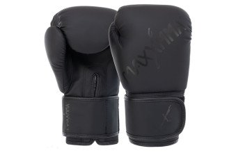 Перчатки для бокса MaxxMMA GB10 10унций черные