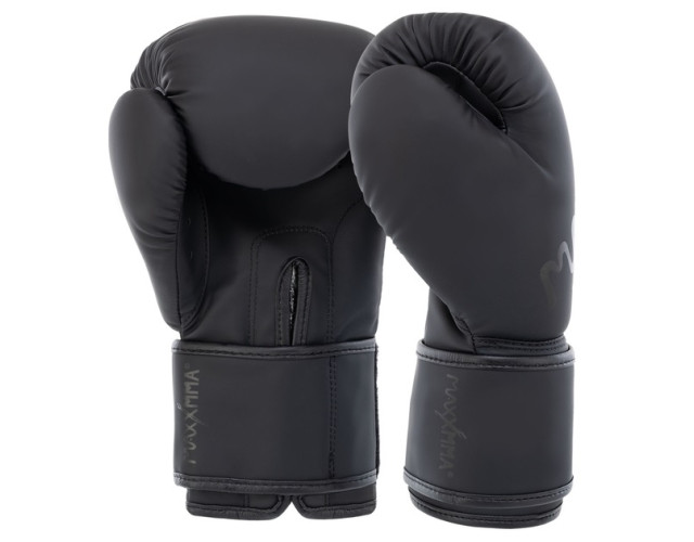 Перчатки боксерские MaxxMMA GB10 12унций черные