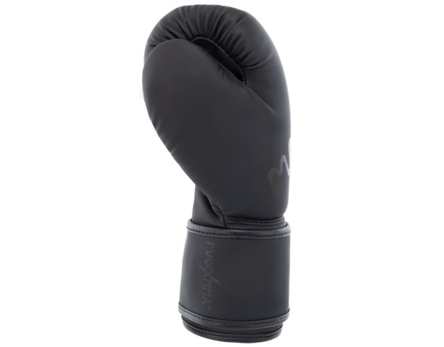 Перчатки боксерские MaxxMMA GB10 12унций черные