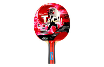 Ракетка для настільного тенісу Giant Dragon TaiChi 3зір