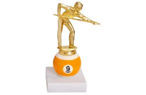 Кубок Бильярдист "9"