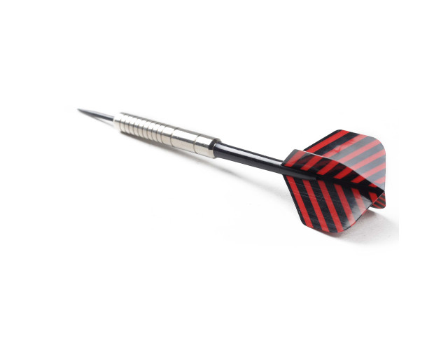 Дротики для дартсу WinMax G405 (21 грам)