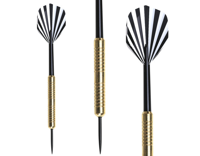 Дротики для дартса WinMax G528 (20 грамм)