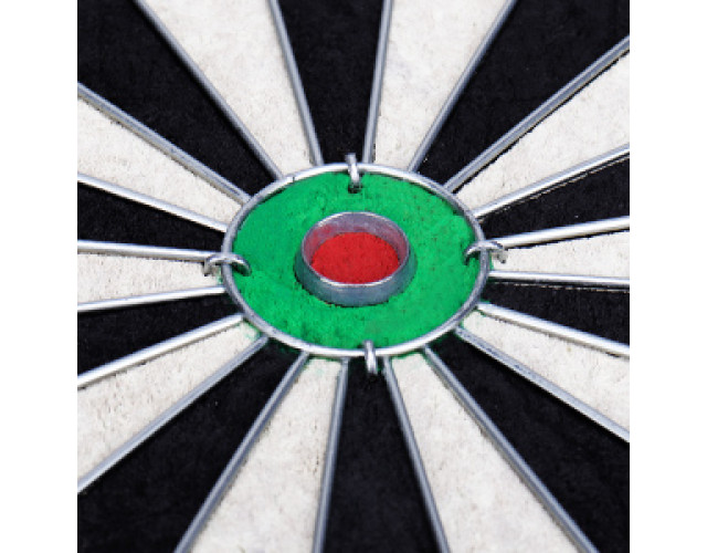 Фирменный набор Profi для игры дартс