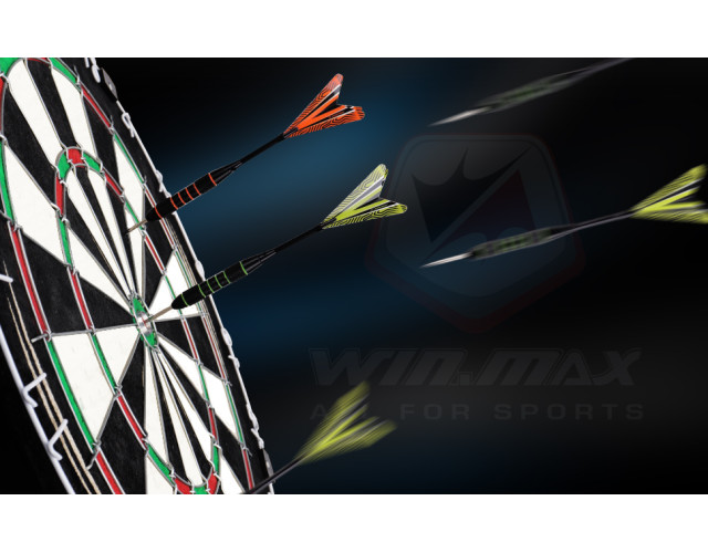 Дартс профессиональный из сизаля WinMax Match Play G491 45cм 6 дротиков Дартс профессиональный из сизаля WinMax Match Play G491 45cм 6 дротиков